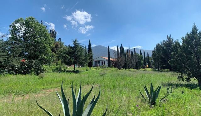 FINCA REAL SAN JOSE