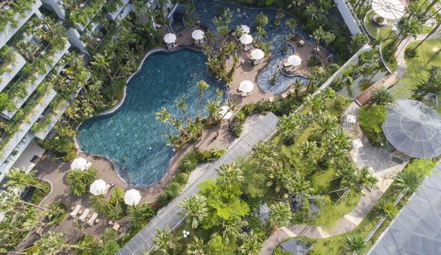Forest In The Sky Flamingo Dai Lai Resort