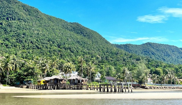 Freedom Beach Resort