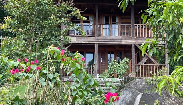 Freedom Jungle Resort
