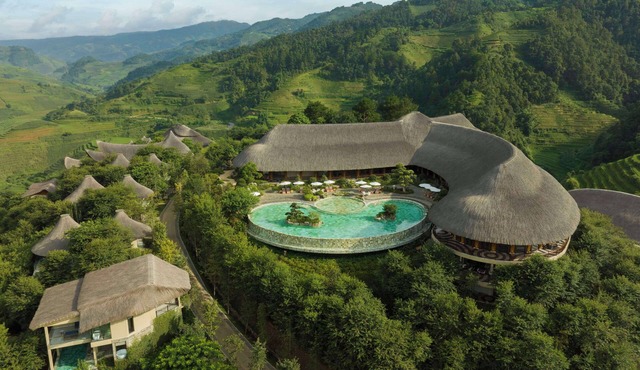 Garrya Mu Cang Chai