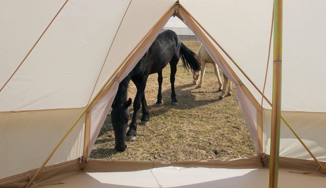 Glamping 2 + Luz de las Estrellas en el Rancho