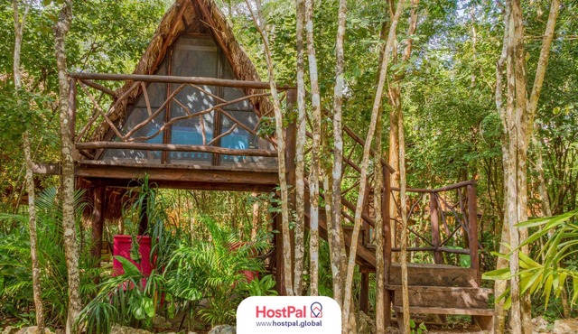 Glamping Luma | Encuentra tu zen en la jungla