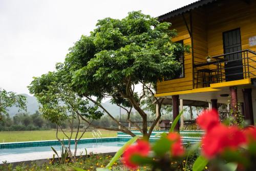 Greenfield Ecostay