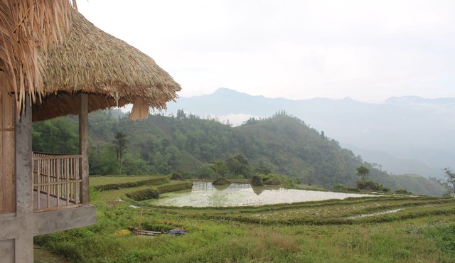 Guyen's Homestay - Hostel