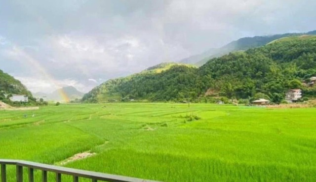 Ha Chau Homestay
