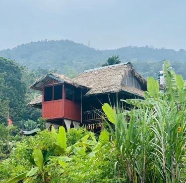 Ha Giang Uphill Coffee Farmstay