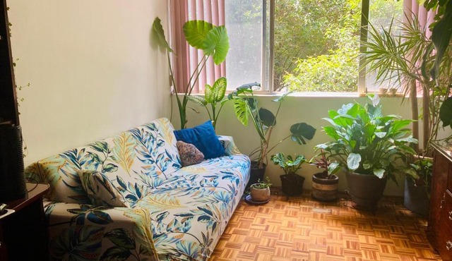 Habitaciòn zona arqueològica Tlatelolco