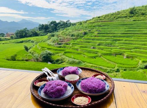 Hiếu Hương Homestay
