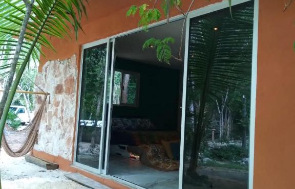 Hidden Oasis Jungle