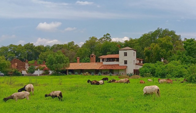 Historic country estate near the Monarch butterflies