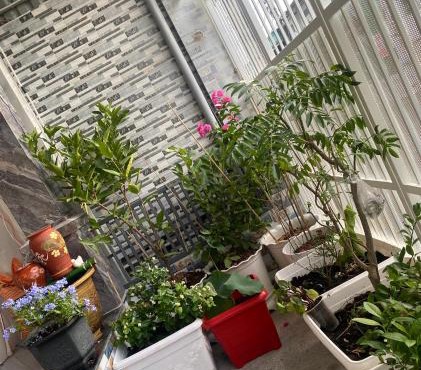 Hiwinwin Homestay Holiday