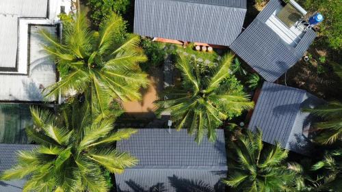 Homestay Bentre Coco Lodge