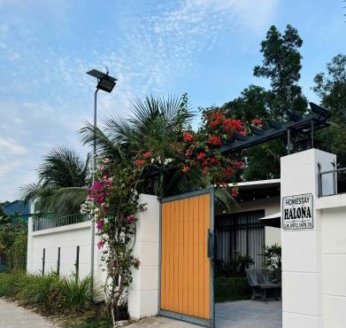 homestay halona