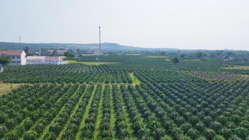 Homestay Thảo Nguyên Xanh