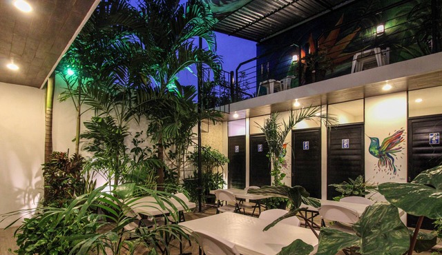 Hostal Gayser - Hostel