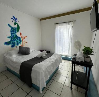 Hotel El Mexicano Tepic Centro