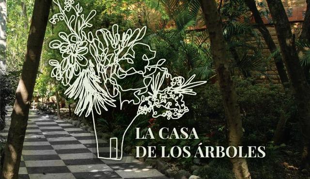 Hotel La Casa de los Árboles Immersive Experience