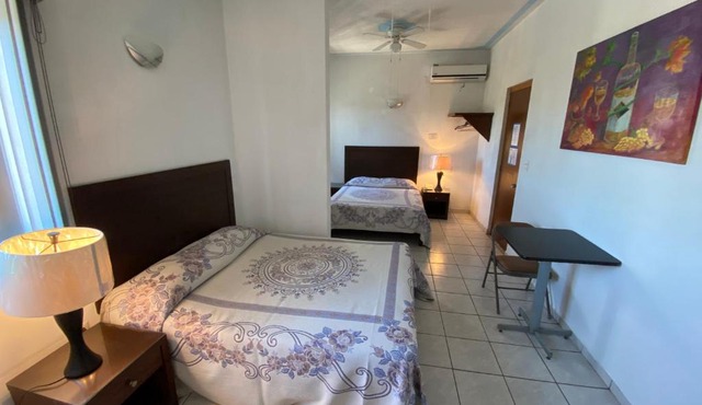 Hotel La Terminal