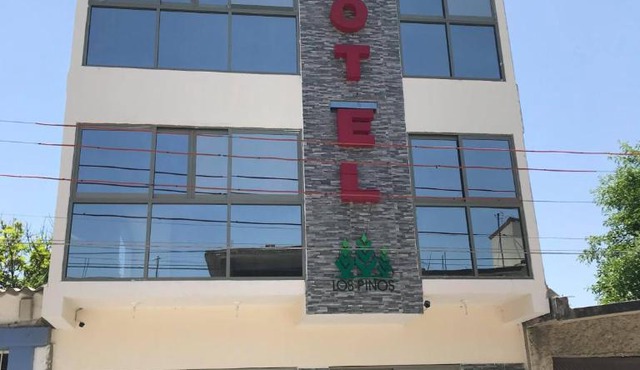 HOTEL LOS PINOS CENTRO