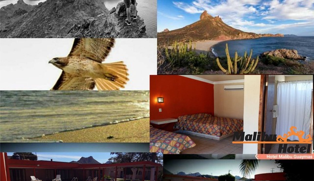 Hotel Malibu Guaymas