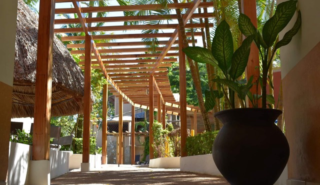 Hotel Maya Tulipanes Palenque