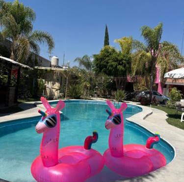 Hotel Pink TH