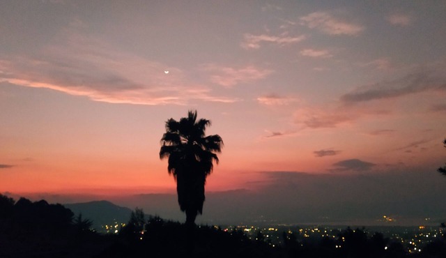 Hotel Rancho La Mesa