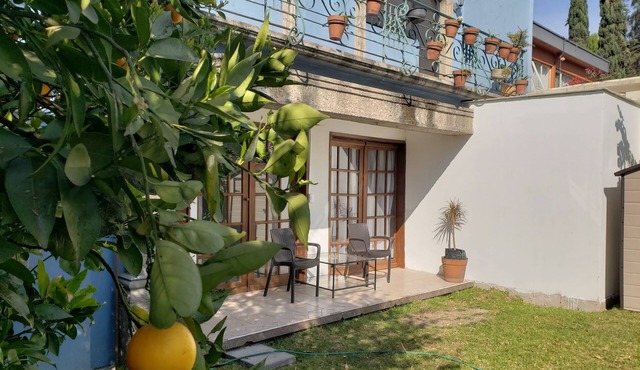 Hotel Singular Coyoacán