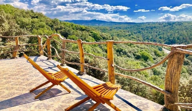 Hotel Vista del Bosque