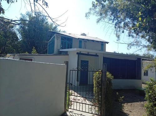 Huerto del Bambu