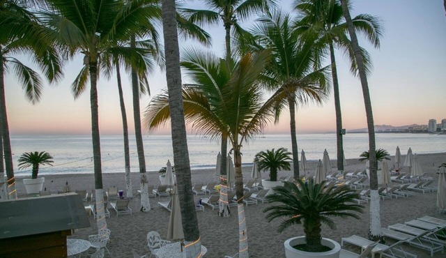 Icon Vallarta