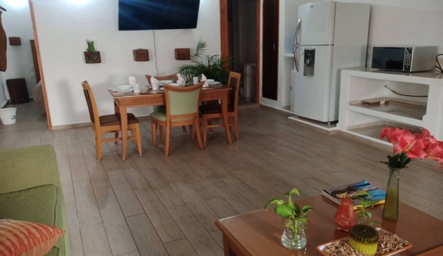 Iguana Apartment 10 meters from the pool