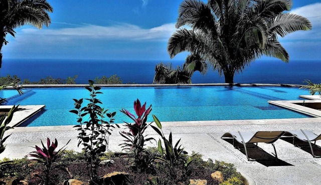Incredible Ocean View 1Bedroom Condo #407