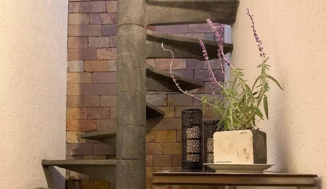 Inspiring Vintage Miniloft/Terrace/SurCdMx Garden