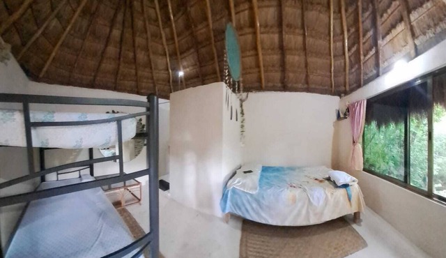 Jungle cabin with cenote