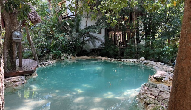 Jungle Chic Villa in Chemuyil