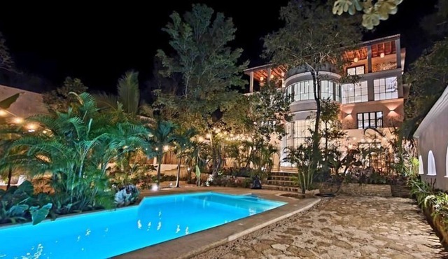 Jungle Mansion & Cuisine