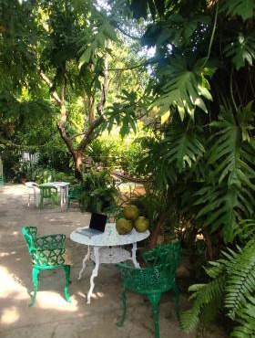 Jungle Palace hostal santaella