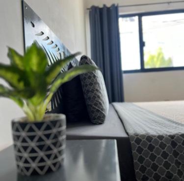 KAVA lofts