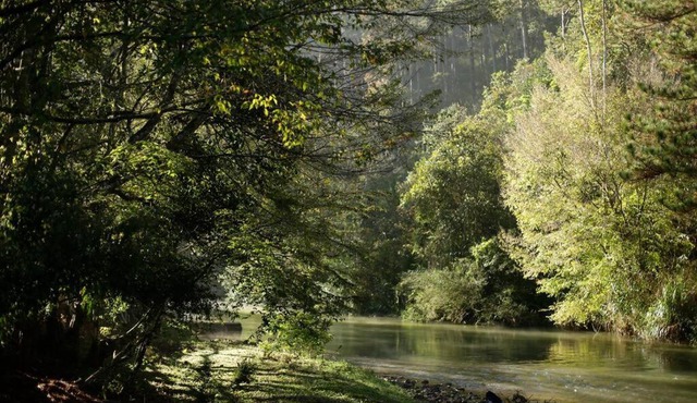 Làng Tinh Mơ - Dreaming Village - Home Resort Da Lat