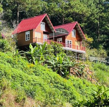 Lưng Đồi Homestay