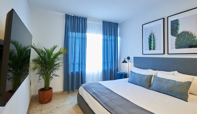 Large and modern 1-bedroom apartment with kitchen C14