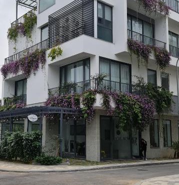 LEO HOMESTAY