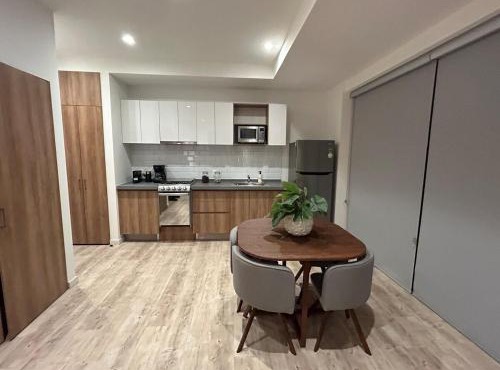 Loft in Providencia near US Consulate