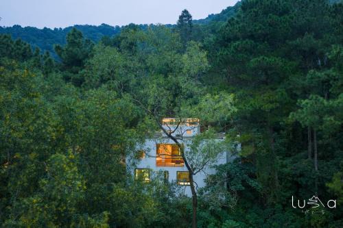 LUMA House