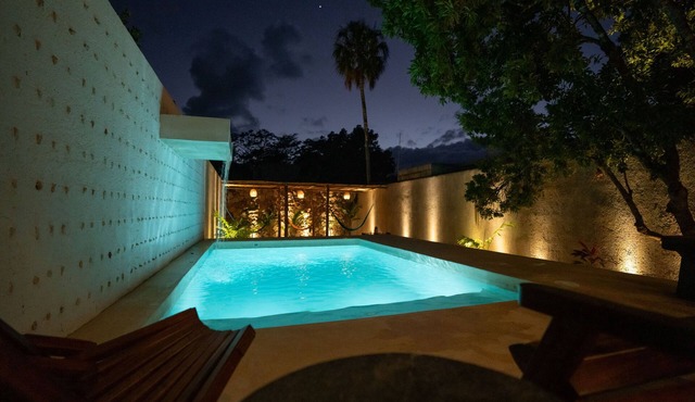Luxe Oasis w/private pool, waterfall, yoga & hammock garden. Sleeps 12. Walk Downtown.