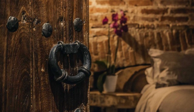 Luxurious apartment in historic building downtown Puebla SV311 -12