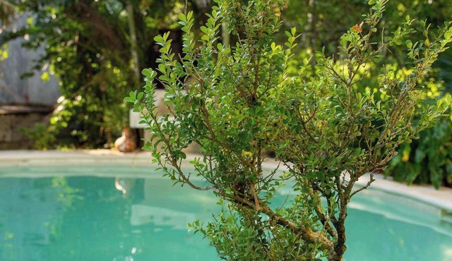 Luxury Villa in Cozumel with Pool