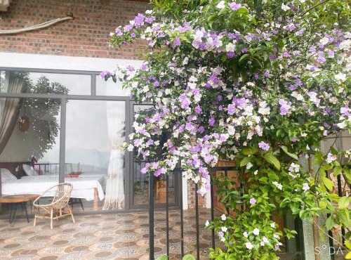 Mai Hill Homestay